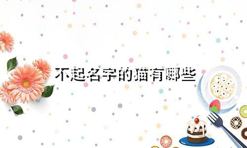 不起名字的猫有哪些
