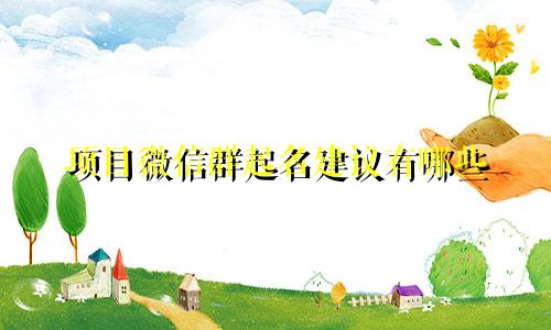 项目微信群起名建议有哪些
