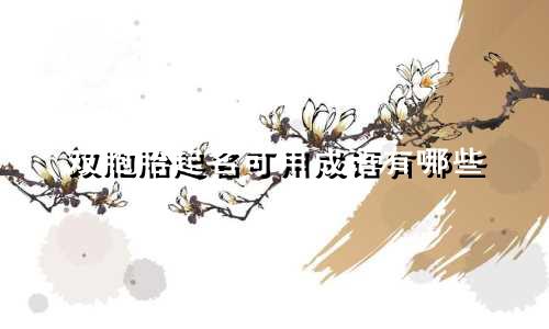 双胞胎起名可用成语有哪些