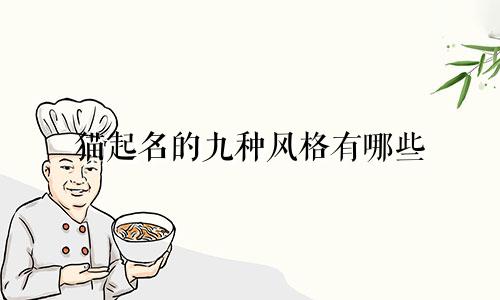 猫起名的九种风格有哪些