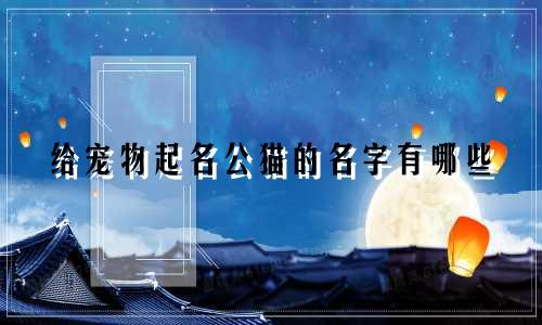 给宠物起名公猫的名字有哪些