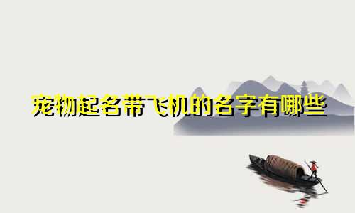 宠物起名带飞机的名字有哪些
