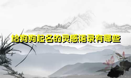 给狗狗起名的灵感语录有哪些