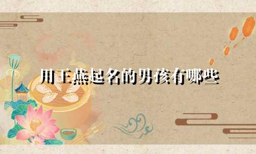 用王燕起名的男孩有哪些