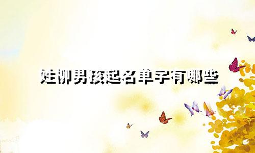 姓柳男孩起名单字有哪些