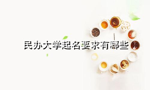 民办大学起名要求有哪些