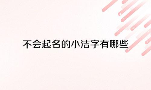 不会起名的小洁字有哪些