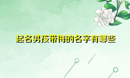 起名男孩带梅的名字有哪些