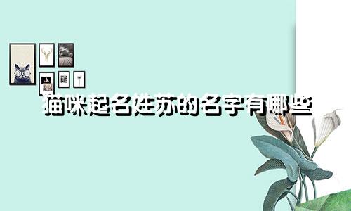 猫咪起名姓苏的名字有哪些