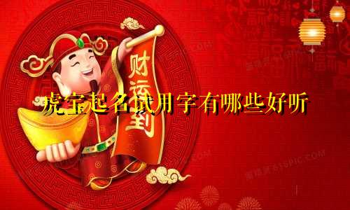 虎宝起名试用字有哪些好听