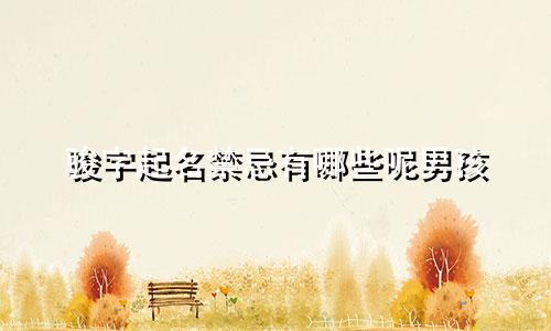 骏字起名禁忌有哪些呢男孩