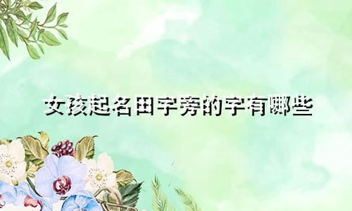 女孩起名田字旁的字有哪些