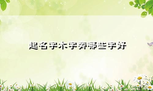 起名字木字旁哪些字好