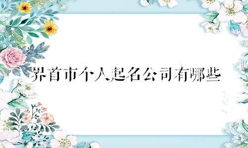 界首市个人起名公司有哪些