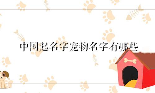中国起名字宠物名字有哪些