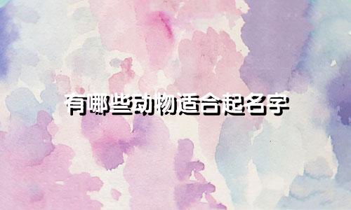 有哪些动物适合起名字