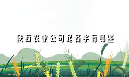 陕西农业公司起名字有哪些