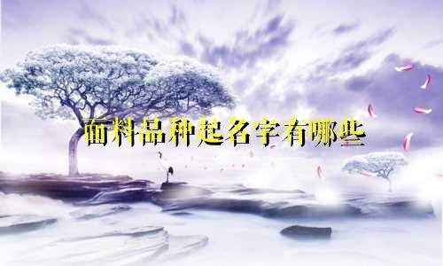 面料品种起名字有哪些
