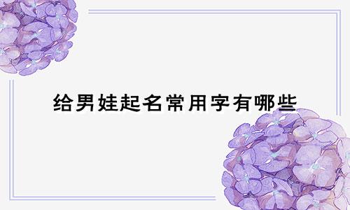 给男娃起名常用字有哪些