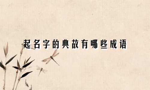 起名字的典故有哪些成语