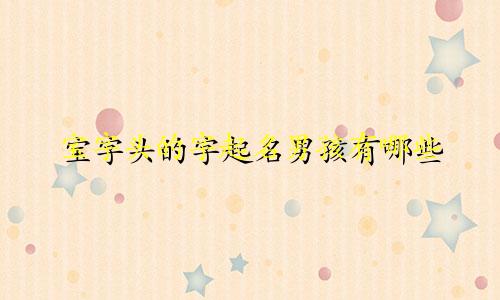 宝字头的字起名男孩有哪些