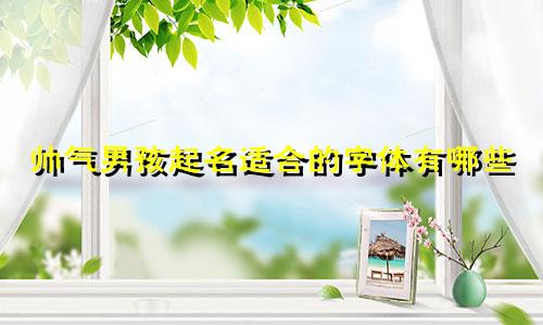 帅气男孩起名适合的字体有哪些