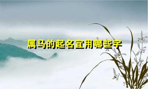 属马的起名宜用哪些字