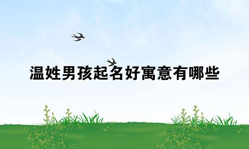 温姓男孩起名好寓意有哪些