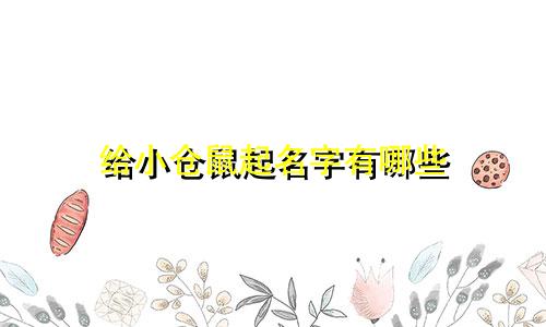 给小仓鼠起名字有哪些