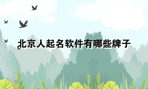 北京人起名软件有哪些牌子