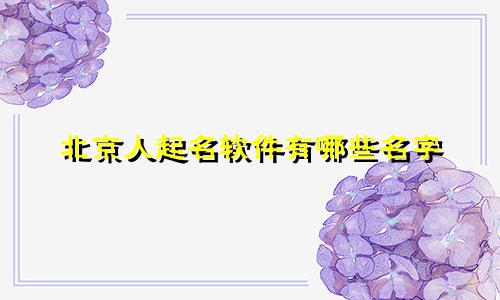 北京人起名软件有哪些名字