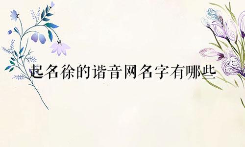 起名徐的谐音网名字有哪些