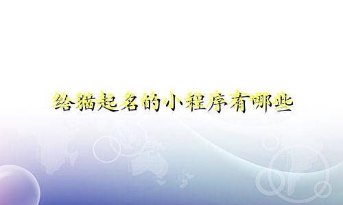 给猫起名的小程序有哪些