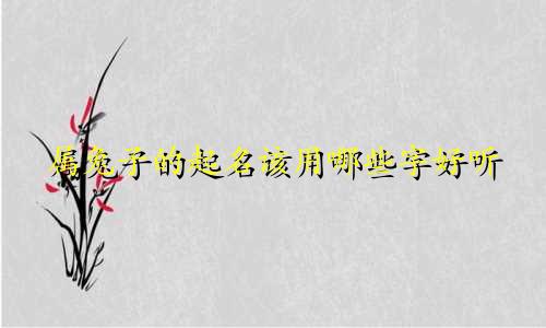 属兔子的起名该用哪些字好听