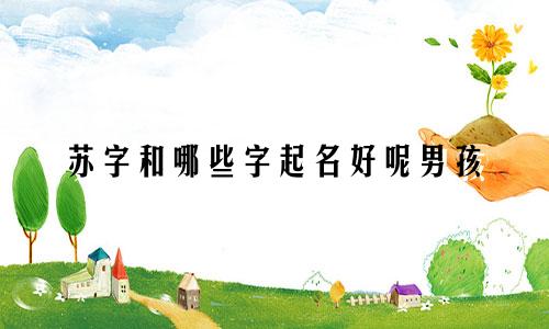 苏字和哪些字起名好呢男孩