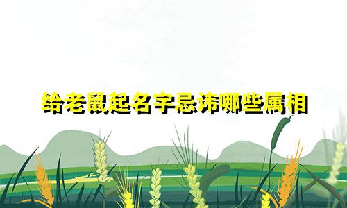 给老鼠起名字忌讳哪些属相
