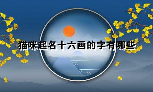 猫咪起名十六画的字有哪些