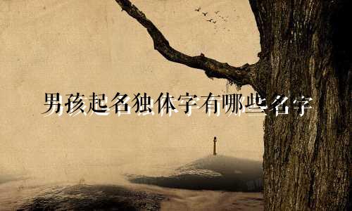 男孩起名独体字有哪些名字