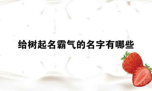 给树起名霸气的名字有哪些
