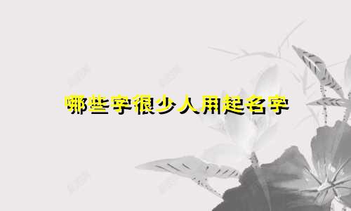 哪些字很少人用起名字