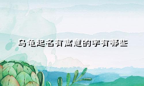 乌龟起名有寓意的字有哪些