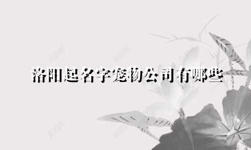 洛阳起名字宠物公司有哪些