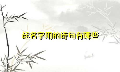 起名字用的诗句有哪些