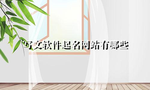 写文软件起名网站有哪些
