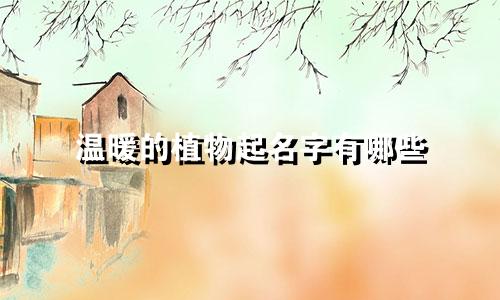 温暖的植物起名字有哪些