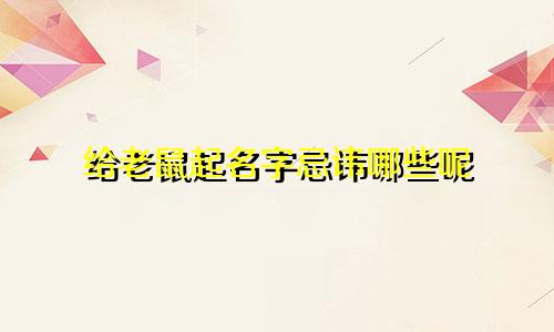 给老鼠起名字忌讳哪些呢