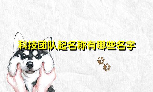 科技团队起名称有哪些名字