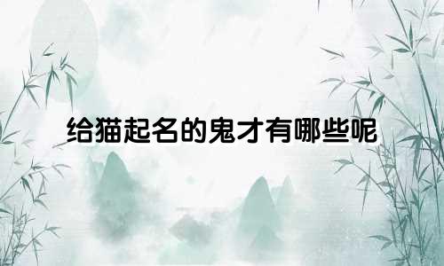 给猫起名的鬼才有哪些呢