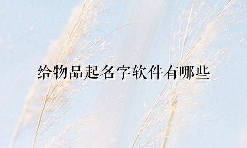 给物品起名字软件有哪些