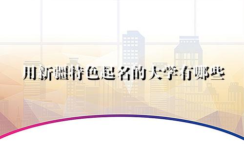 用新疆特色起名的大学有哪些